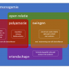 polyamorie swingen nonmonogamie vreemdgaan