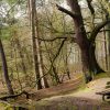 Belles Visualisatie voor Jaloezie