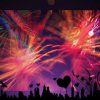 Pluk de Liefde in het nieuwe jaar - PolyFeest