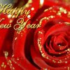 Pluk de Liefde Nieuwjaarsfeest 2018