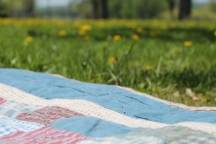 Polywandeling met potluckpicknick Den Bosch