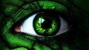 Hoe tem je het Groene Monster?