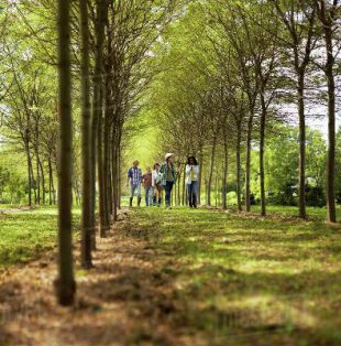 PolyWandeling in de Brabantse Sahara