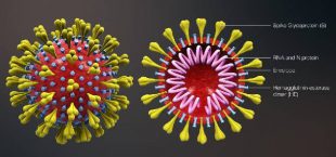 Hoe is het met jullie? – uitslag PolyCoronaPoll