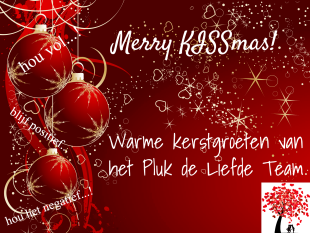 Fijne kerst!!