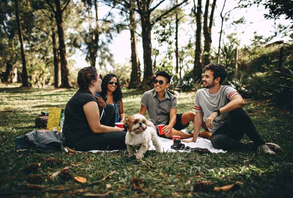 MoreToAdore Picknick & Date event